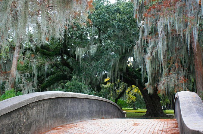 New Orleans Favorites and Creole Culture VIP Tour - Reflecting on History at Hurricane Katrina Memorial and Treme