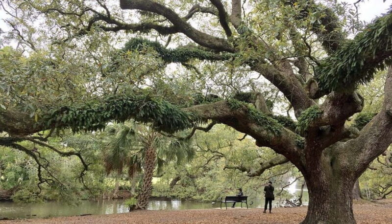 New Orleans Favorites: Beyond the French Quarter Tour - Starting Point and Transportation in the Heart of NOLA