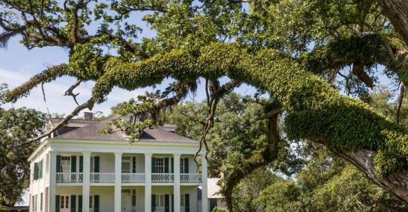 New Orleans: Felicity Plantation Guided Tour - The Role of Felicity as a Working Sugarcane Farm