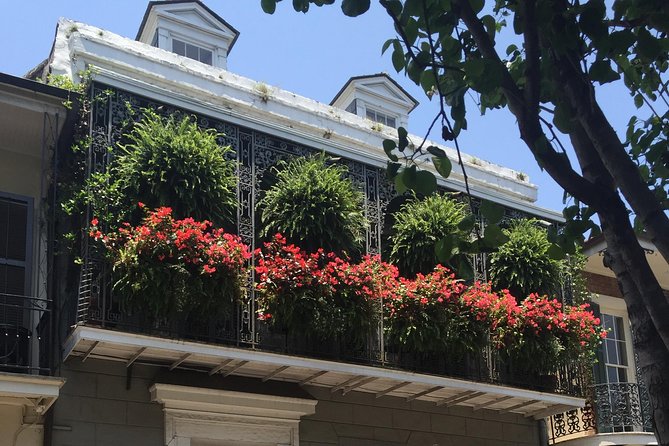 New Orleans French Quarter Architecture Walking Tour - Royal Street: A Blend of Historic Charm and Modern Commerce