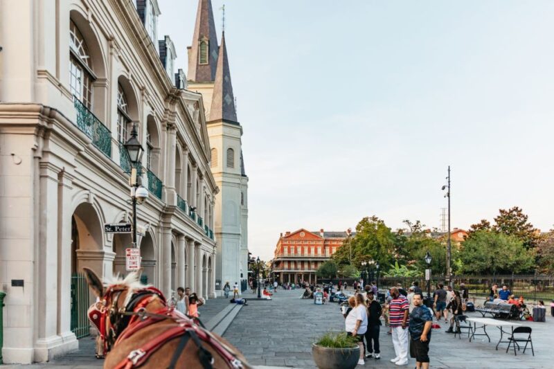 New Orleans: French Quarter Sightseeing Carriage Ride - What the Tour Includes: Sights, Stories, and Special Features