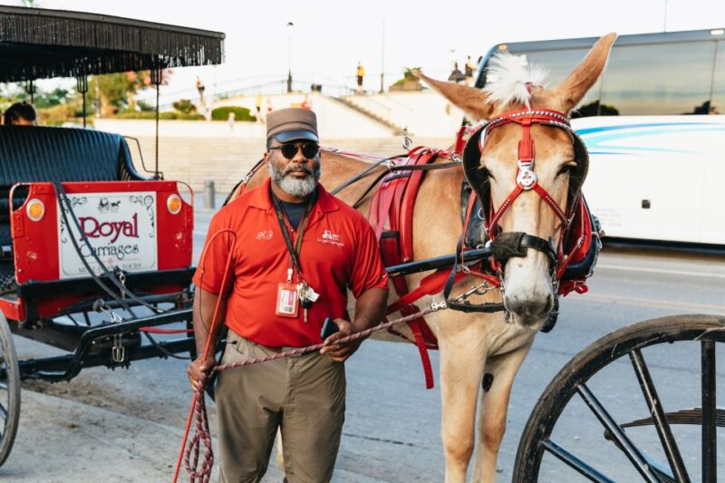 New Orleans: French Quarter Sightseeing Carriage Ride - Guides and Narration Style: Knowledgeable and Engaging