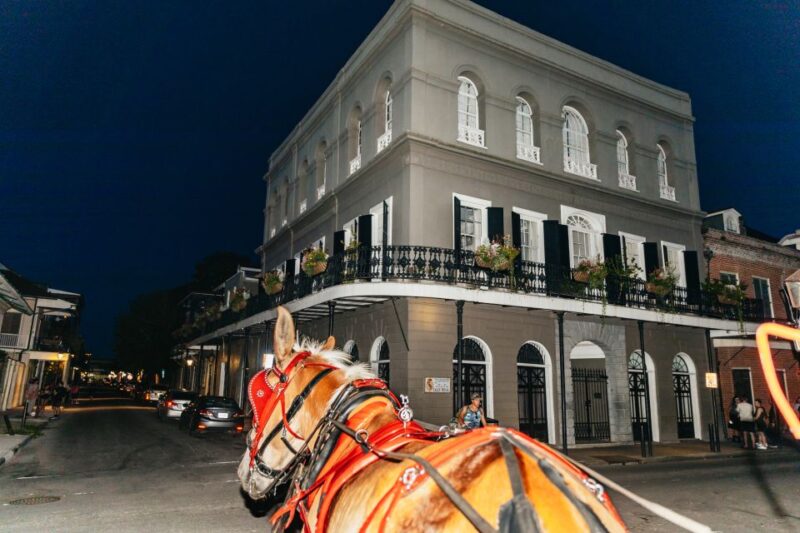 New Orleans: French Quarter Sightseeing Carriage Ride - The Experience in All Weathers: Rain or Shine
