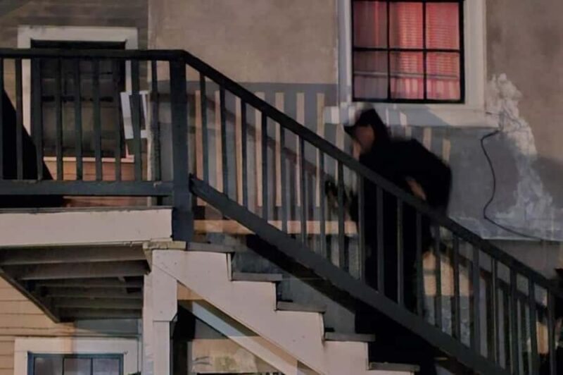 New Orleans: French Quarter Supernatural Ghost Hunt - Using Paranormal Equipment and Spirit Communication Techniques