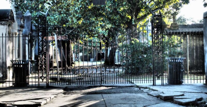 New Orleans: Garden District Tour - The Majestic Southern Live Oaks and Magnolias