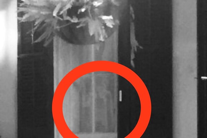 New Orleans Ghost Hunt Experience: Voices from Beyond - Food, Drink, and Nearby Amenities