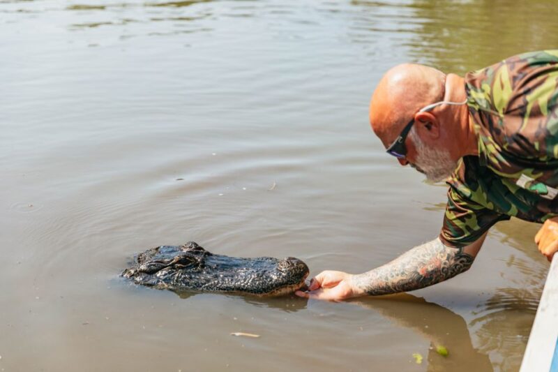 New Orleans: High Speed 9 Passenger Airboat Tour - Comparing to Similar Tours