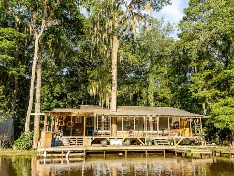 New Orleans: Honey Island Swamp Tour - Honey Island Swamp: The Heart of Louisianas Bayou