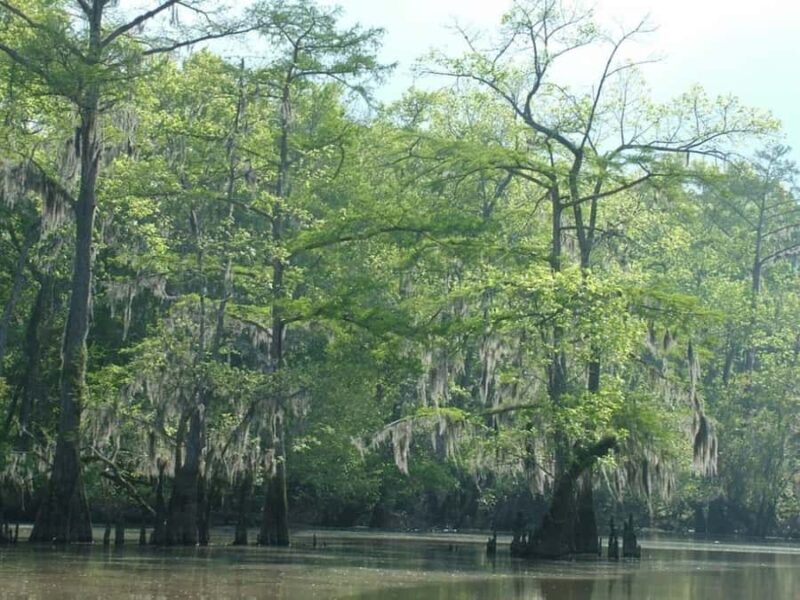 New Orleans: Honey Island Swamp Tour - Frequently Asked Questions