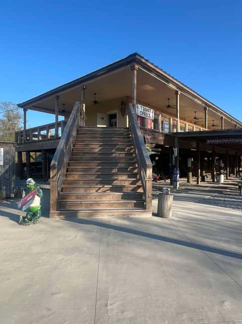 New Orleans Manchac Bayou Swamp Cruise W/ Optional Pick-Up - What Wildlife and Lore Will You Encounter?