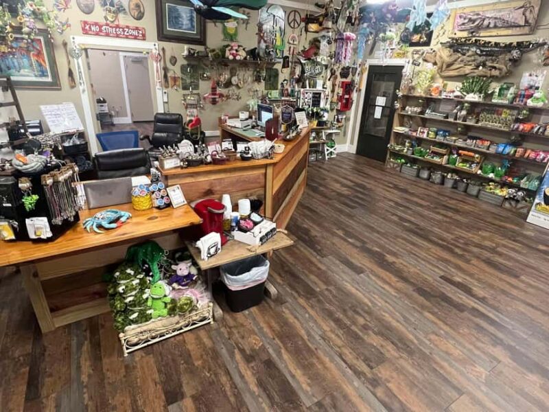 New Orleans Manchac Bayou Swamp Cruise W/ Optional Pick-Up - Practical Tips for the Tour