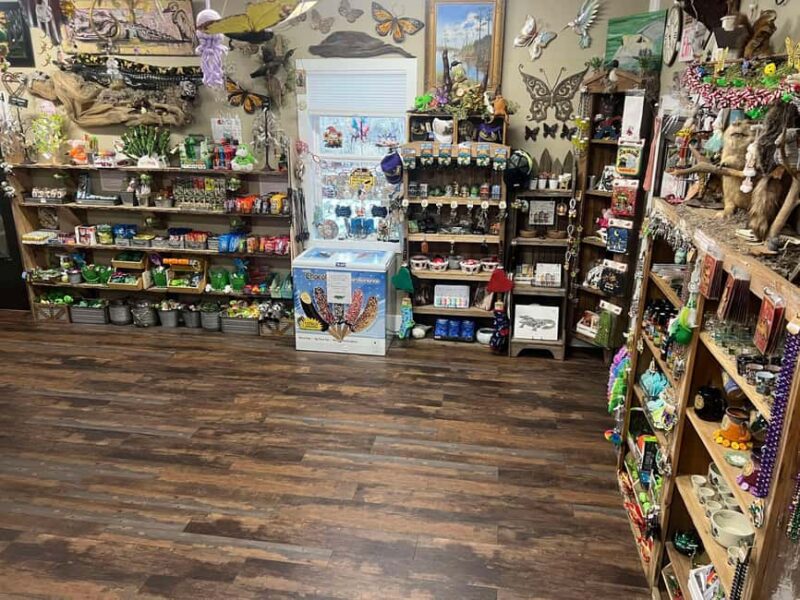 New Orleans Manchac Bayou Swamp Cruise W/ Optional Pick-Up - Why This Tour Continues to Receive High Praise