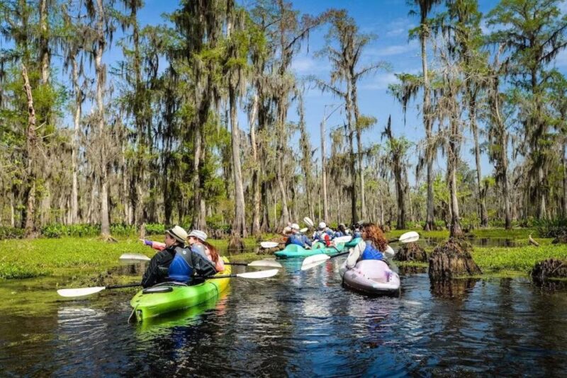New Orleans: Manchac Magic Kayak Swamp Tour - Meeting Point and Transportation Options