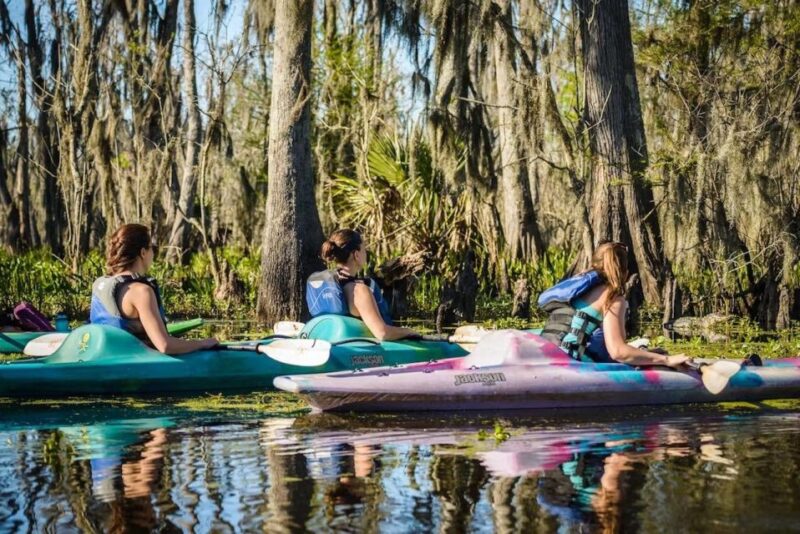 New Orleans: Manchac Magic Kayak Swamp Tour - Wildlife Encounters and Scenic Views
