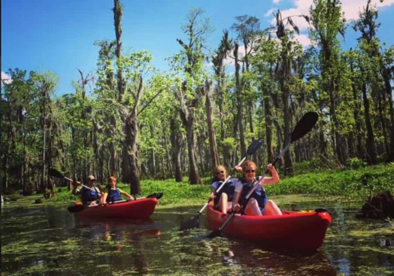 New Orleans: Manchac Swamp Wildlife Kayaking Tour - Key Points