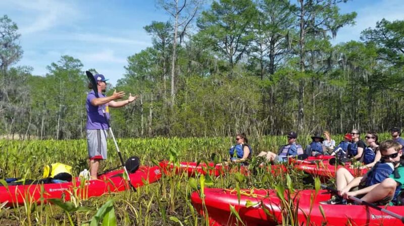 New Orleans: Manchac Swamp Wildlife Kayaking Tour - Exploring Louisianas Wetlands on a Kayak