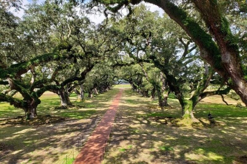 New Orleans: Oak Alley & Laura Plantation Tour w/Transport - Strolling Through Oak Alley’s Majestic Canopy