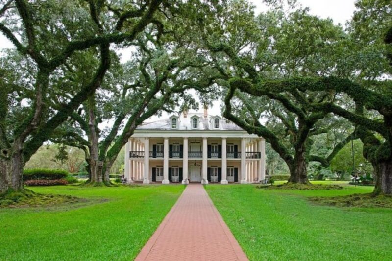 New Orleans: Oak Alley & Laura Plantation Tour w/Transport - Summary of Strengths and Considerations