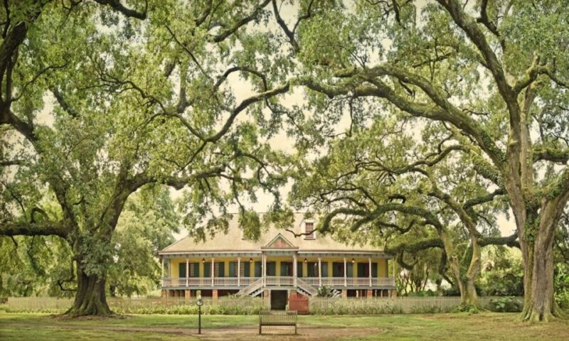 New Orleans: Oak Alley or Laura Plantation & Airboat Tour - Weather and Accessibility Information