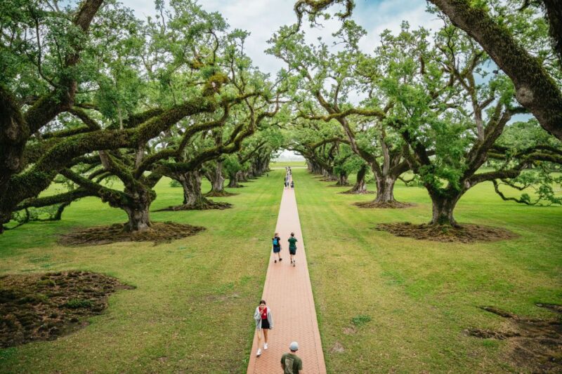 New Orleans: Oak Alley Plantation and Swamp Cruise Day Trip - Explore Louisiana’s Iconic Oak Alley Plantation and Bayou Swamp in One Day