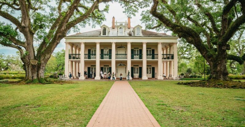 New Orleans: Oak Alley Plantation and Swamp Cruise Day Trip - Discovering the Historic Oak Alley Plantation
