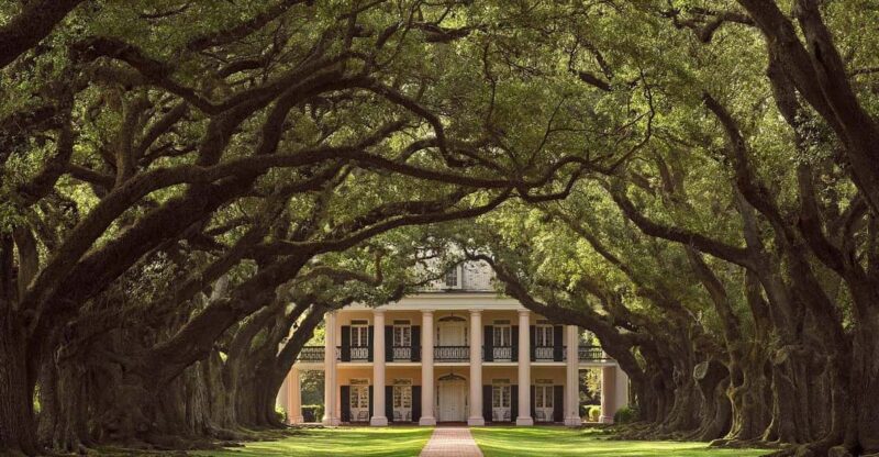New Orleans: Oak Alley Plantation Half Day Tour - The Overall Experience: What Makes This Tour Stand Out