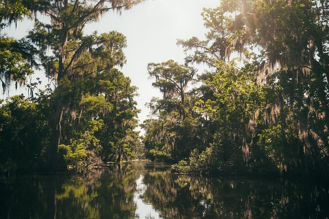 New Orleans Premium Six-Passenger Airboat Adventure - The Experience of the Guide and Personal Touch