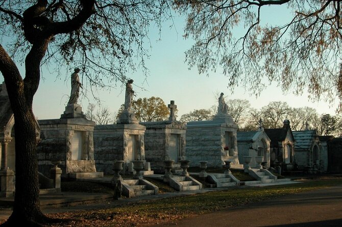 New Orleans Private City and Cemetery Tour - Up to 24 Passengers - Café Beignets and Bathroom Break in City Park