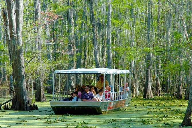 New Orleans Self-Transport Swamp and Bayou Boat Tour - Exploring Honey Island Swamp from Slidell