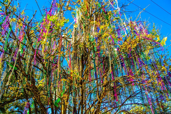 New Orleans Small-Group City Tour by Van - Discovering the Unique Burial Process at Lake Lawn Metairie