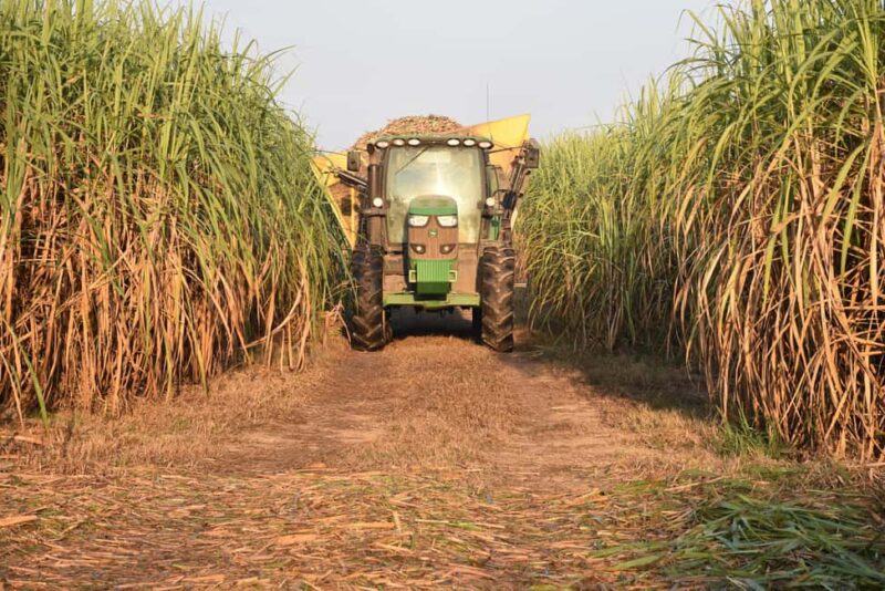 New Orleans: St. Joseph and Felicity Plantation Guided Tour - Frequently Asked Questions
