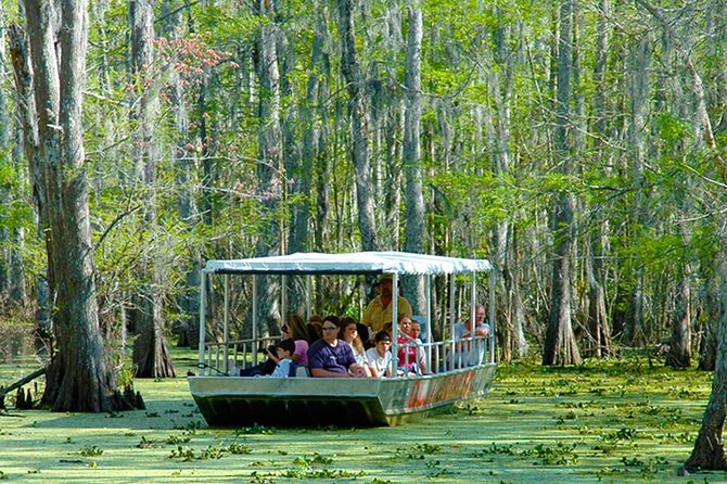 New Orleans Swamp and Bayou Boat Tour with Transportation - What to Expect During the Tour