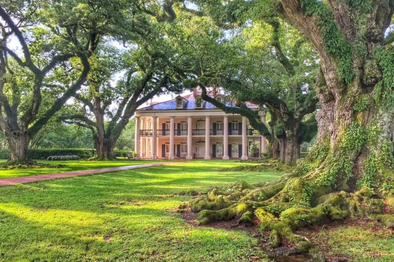 New Orleans: Swamp Boat Ride & Oak Alley Plantation Tour - Experience the Best of Louisiana with a Swamp Boat Ride and Oak Alley Plantation Tour