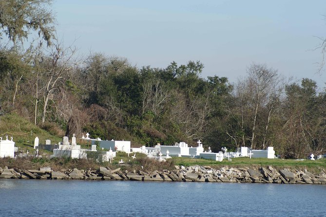 New Orleans Swamp Tour Boat Adventure - Wildlife Visibility: Best Conditions and Tips