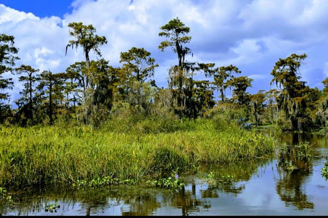 New Orleans Swamp Tour Boat Adventure with Transportation - The Role of Guides: Knowledge, Humor, and Engagement