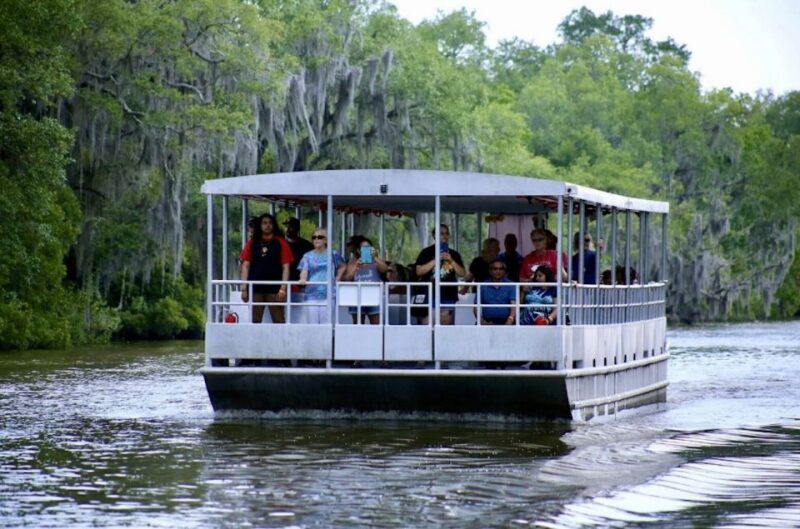 New Orleans: Swamp Tour on Covered Pontoon Boat - Exploring Louisiana’s Backcountry on a Spacious Pontoon Boat
