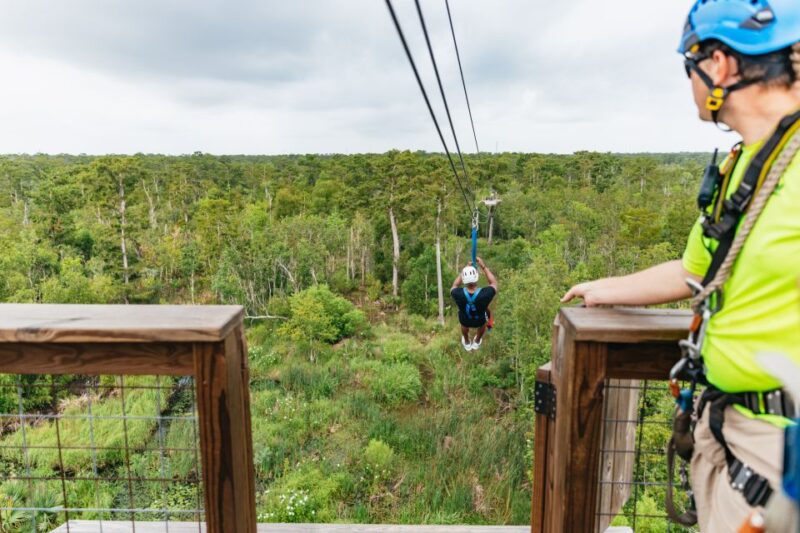 New Orleans: Swamp Zipline Tour - Wildlife Encounters from the Treetops