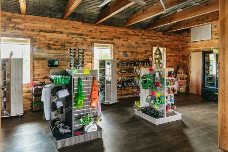 New Orleans: Swamp Zipline Tour - Safety and Physical Requirements to Consider