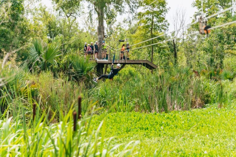 New Orleans: Swamp Zipline Tour - Guides and Guest Experience