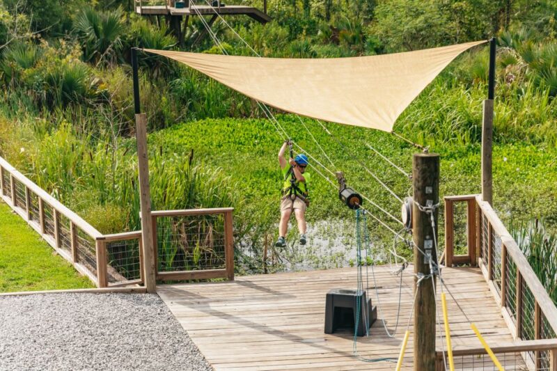 New Orleans: Swamp Zipline Tour - Limitations and Considerations