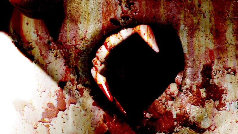 New Orleans: Vampires, Voodoo, and Ghosts Tour - Exploring May Baileys Brothel and Ghost Hotspots