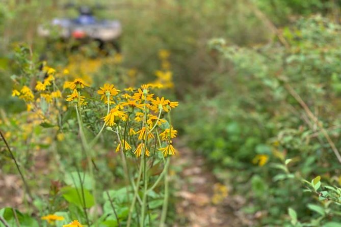 New River Gorge ATV Adventure Tour - The Experience with Guides Like Esther and Mike