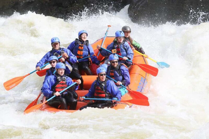 New River Gorge: Lower New River Full-Day Rafting Tour - Key Points