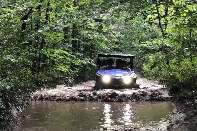 New River Gorge Side by Side Family Tour - Safety and Experience Level Requirements
