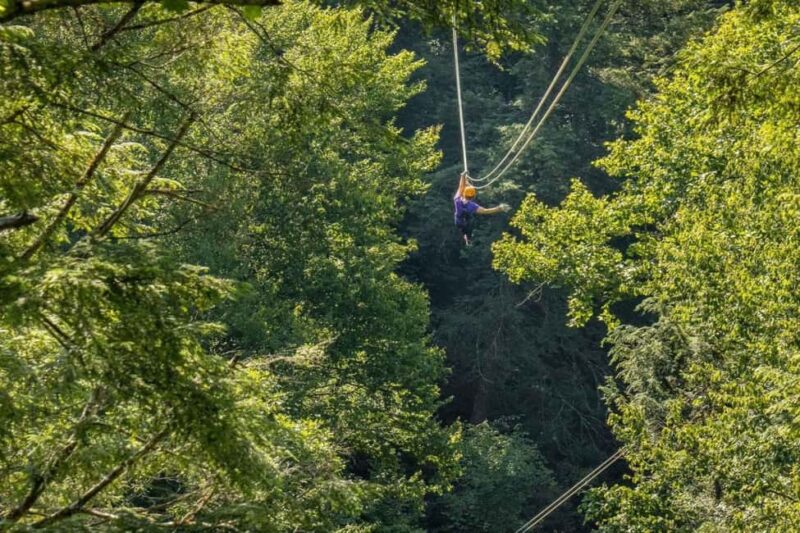 New River Gorge: TreeTops Zipline Tour - Who Should Consider This Adventure and Who Should Skip It