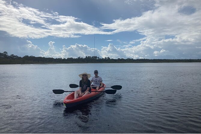 New Smyrna Dolphin and Manatee Kayak and SUP Adventure Tour - Wildlife Encounters and What You Might See