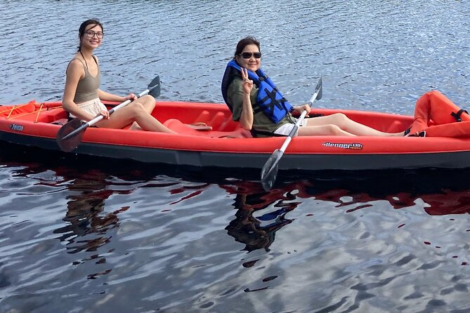 New Smyrna Dolphin and Manatee Kayak and SUP Adventure Tour - Comparing the Experience to Expectations