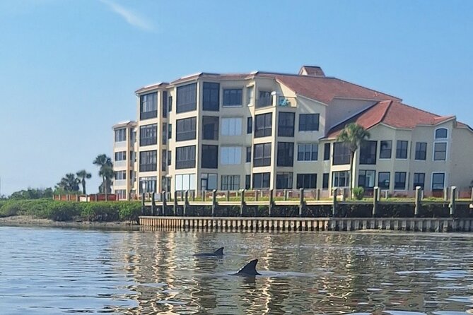 New Smyrna Mangrove Paddle & Mimosa Tour - Unique Features of the Tour: Mimosas and Eco-Conservation