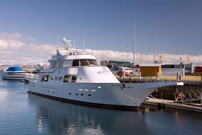 New Year's Eve Reykjavík Cruise - Strengths and Limitations of the Reykjavik Fireworks Cruise