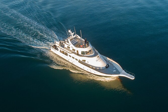 New Year's Eve Reykjavík Cruise - Comparing with Other Reykjavík New Year Activities